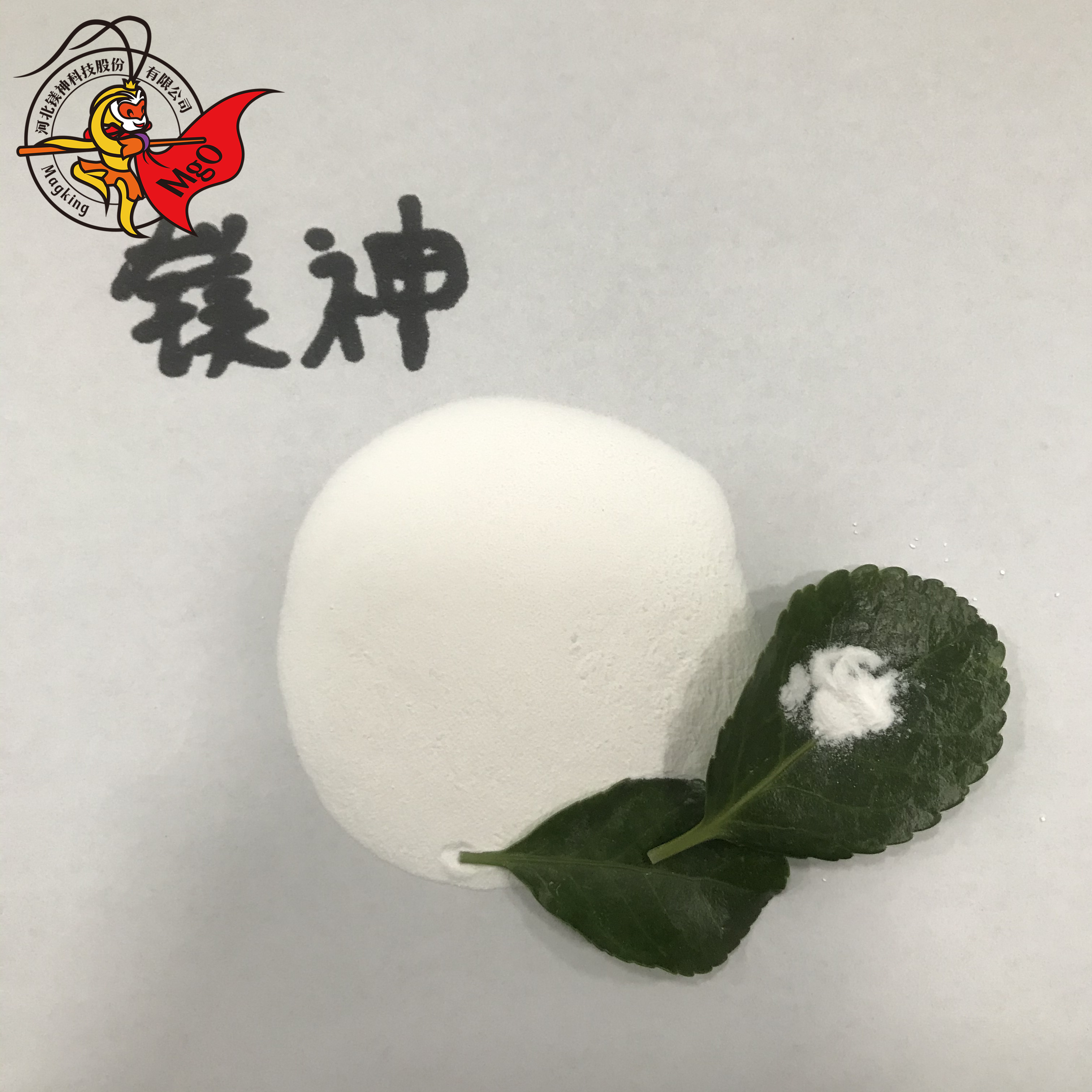 <a href='http://www.www.hmjf168.com' class='keys' title='點(diǎn)擊查看關(guān)于氧化鎂的相關(guān)信息' target='_blank'>氧化鎂</a>